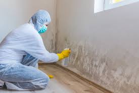 Reliable Paxtonia, PA Mold Removal Solutions